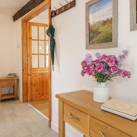Cyffdy Cottage - Tegid Bala Bagian luar foto