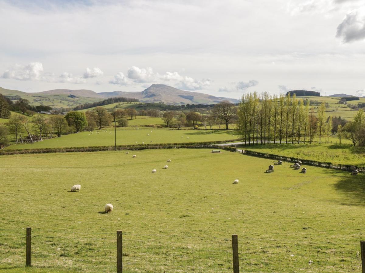 Cyffdy Cottage - Tegid Bala Bagian luar foto